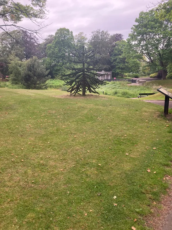 Duthie park mini