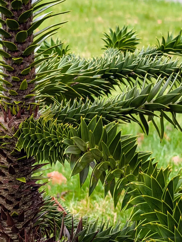 It'll look great in 50 years