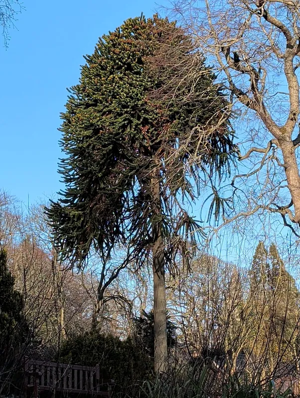 Beauty in the botanics