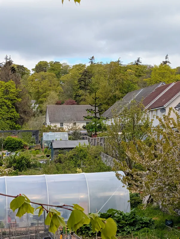 Near the Garthdee Allotments