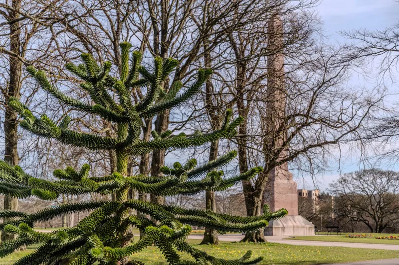Shadow of the Obelisk