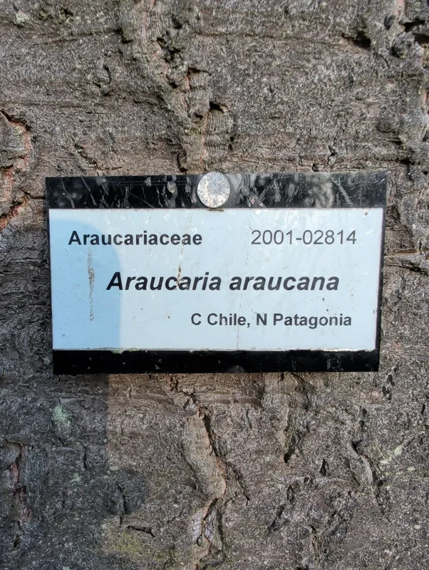 Beauty in the botanics