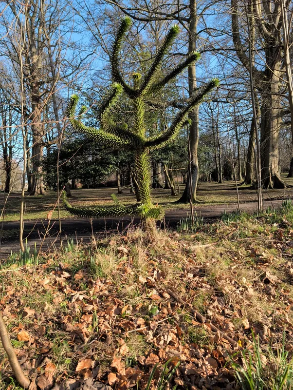 Hiding in the bushes