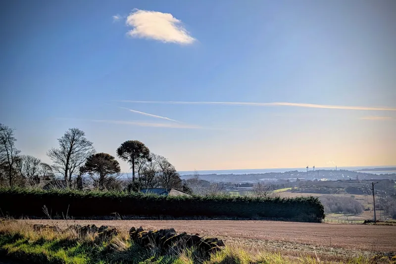 One of Two in Burnside of Duntrune