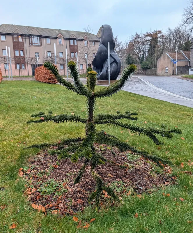 It'll look great in 50 years