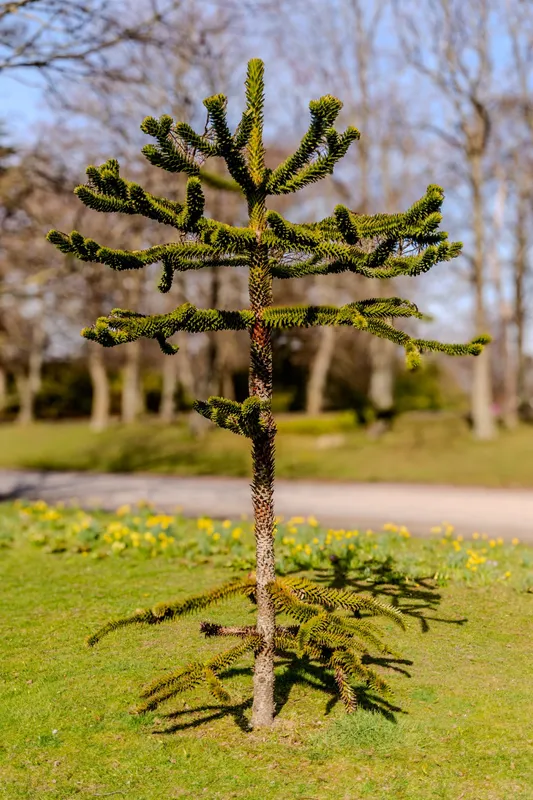 Vandalised in Duthie Park