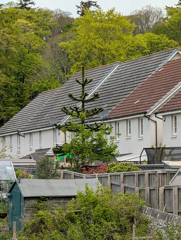 Near the Garthdee Allotments