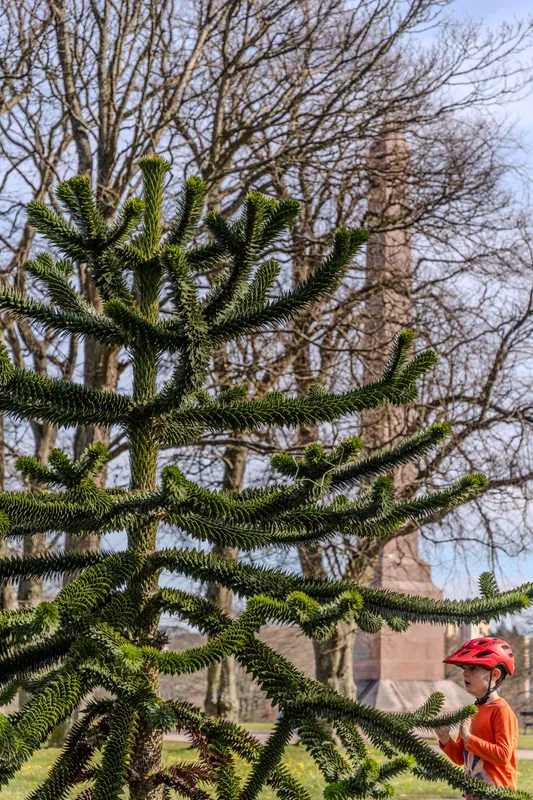 Shadow of the Obelisk