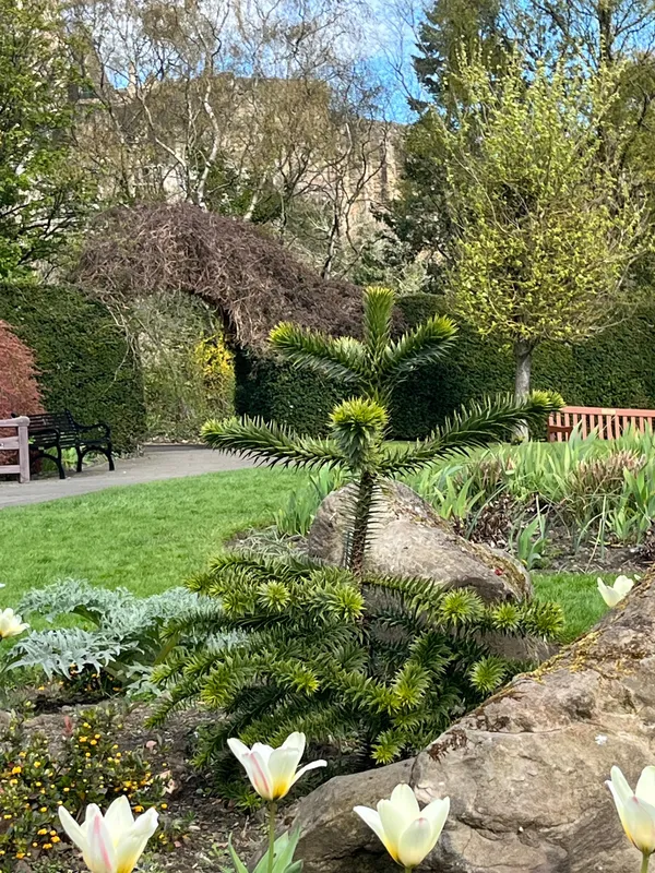 Small but will become mighty