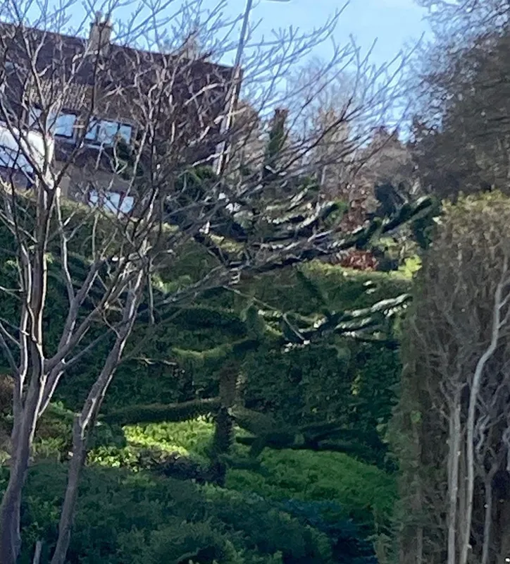 Terrible stalking from Mrs A