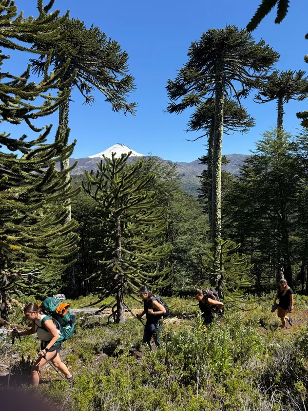Guardians of the trail