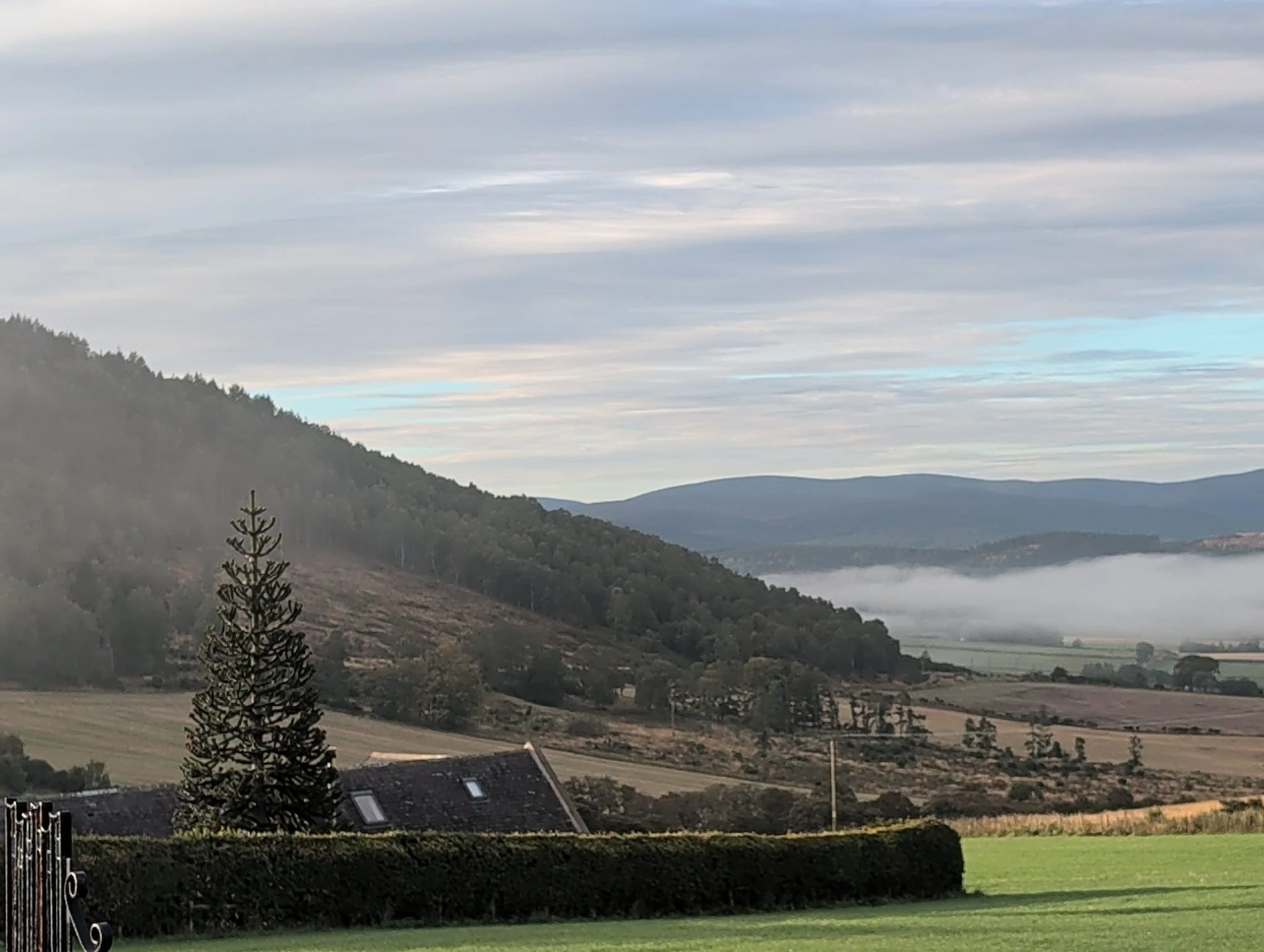 A Considerable Amount of Tree in Tarland thumbnail 2