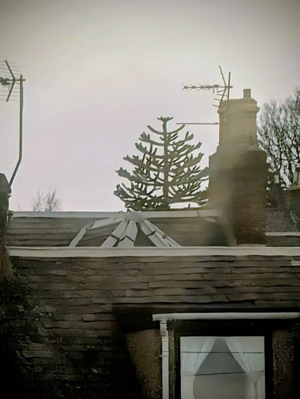 Spotted from Carnoustie Train Station