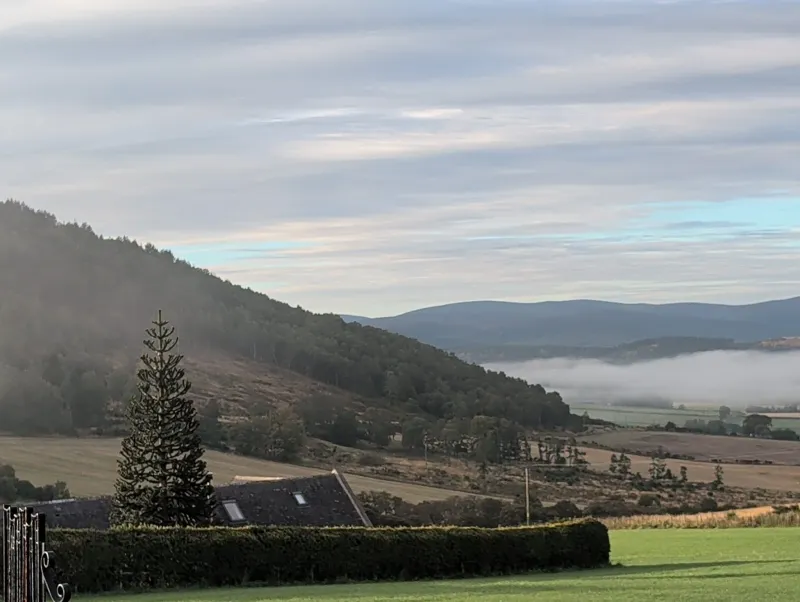 A Considerable Amount of Tree in Tarland