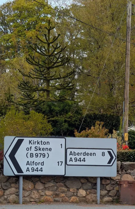 Edge of Elrick