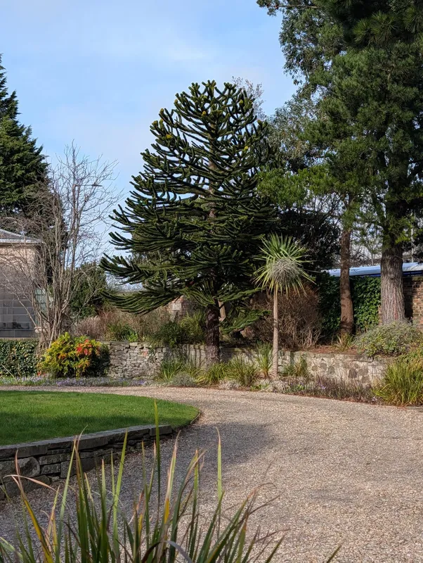 Lovely garden near the Commonwealth Pool