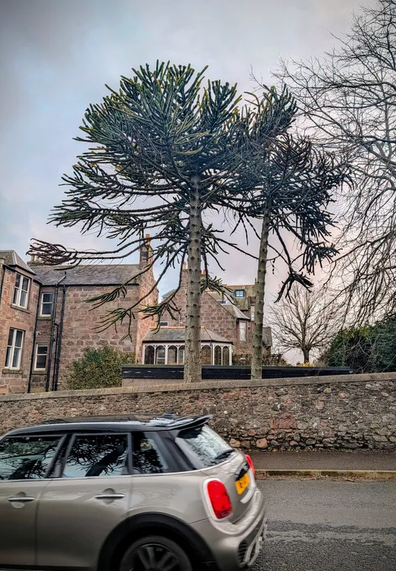 One of two tall but skinny lads