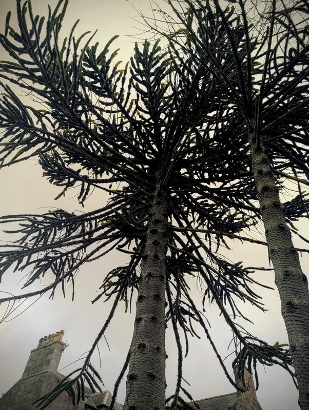 One of two tall but skinny lads