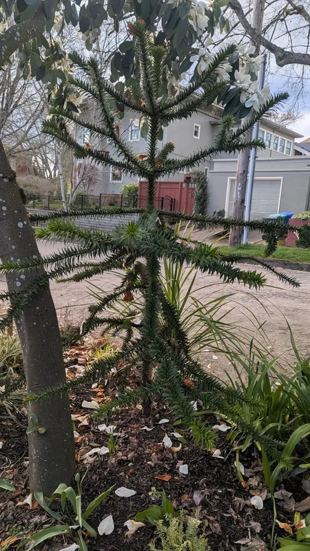 The most amazing triple find: Young 'uns!