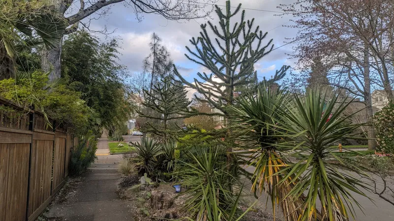 The most amazing triple find: Young 'uns!