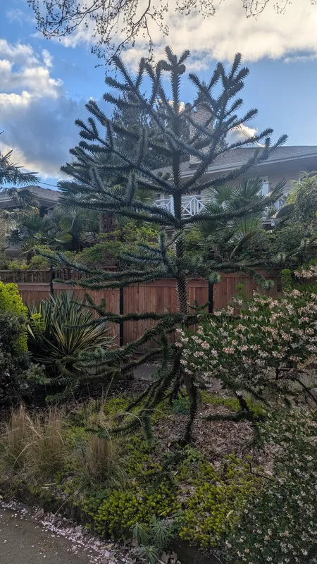 The most amazing triple find: Young 'uns!