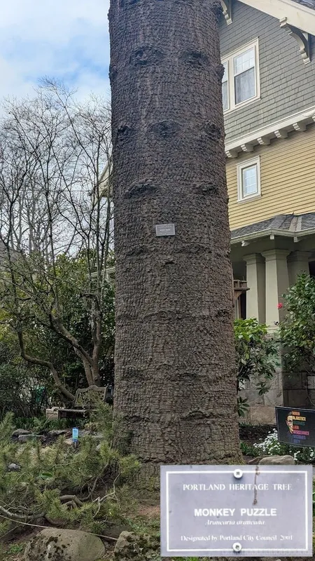 Fabulous Giant of Flanders Street, Portland OR USA