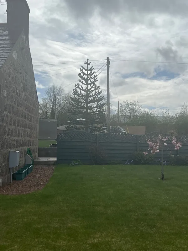 Bob’s Garage neighbour 