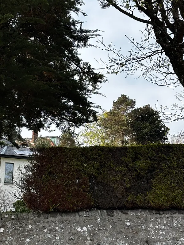 Broughty Ferry Puzzler