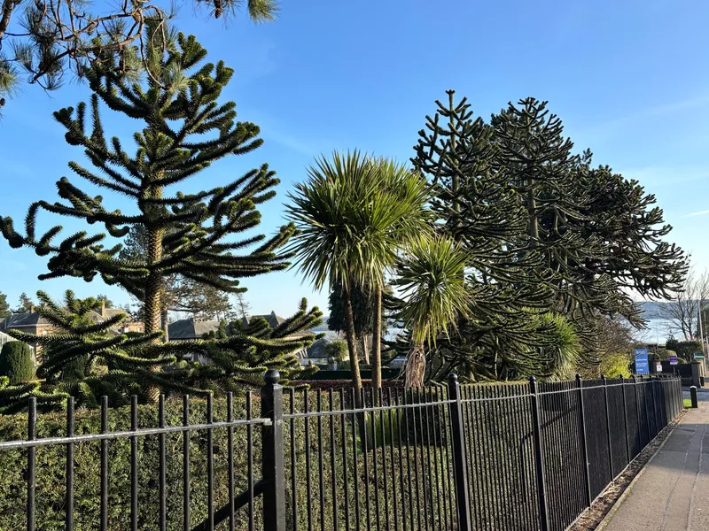 Number 2 Dundee Botanics