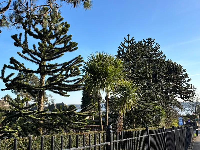 Number 3 Dundee Botanics