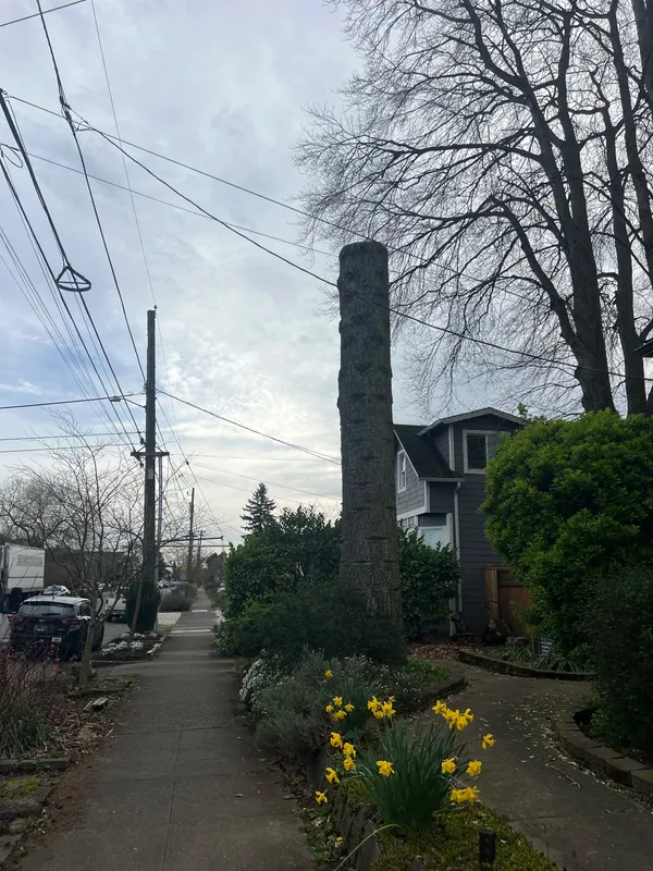 Honoring what once was 