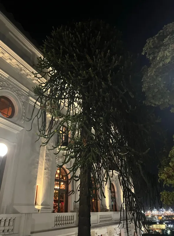 The ginormous giant of the elks temple  