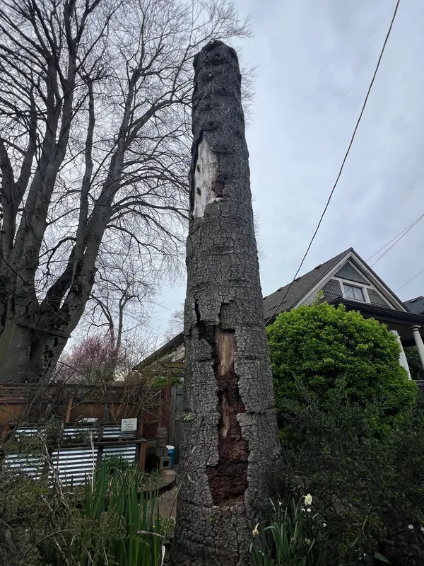 Honoring what once was 