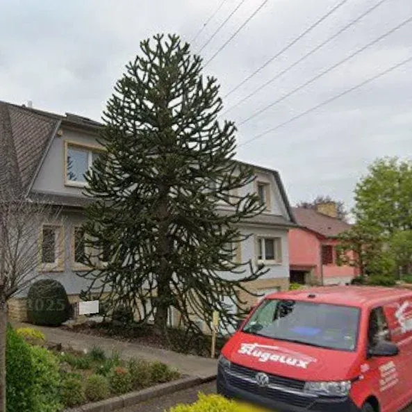 Luxuriant in Luxembourg
