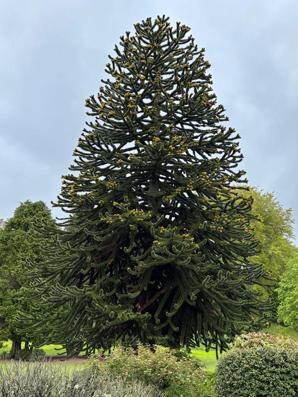 Bellfield Park Banchory