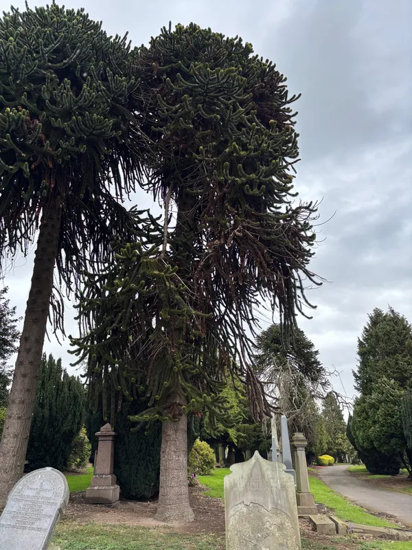 Eastern Cemetery Twin 2