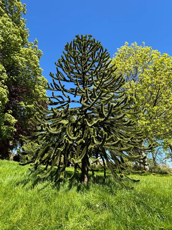  Baxter Park Dundee