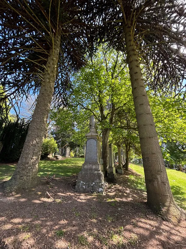No.1 of twins - Balgay Cemetery