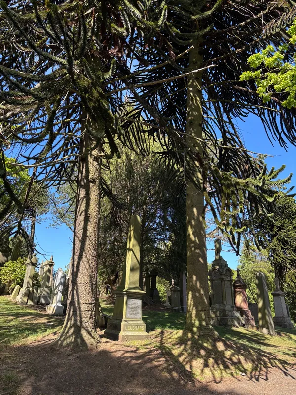 No2 of twins -  Balgay Cemetery