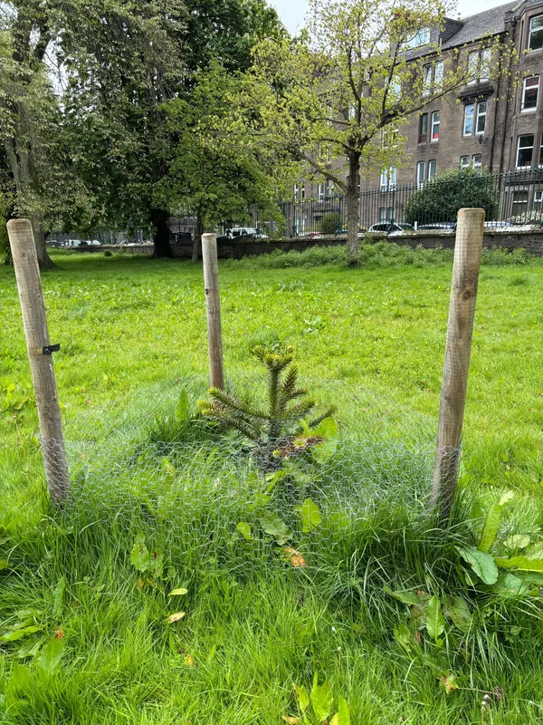 Baxter Park Dundee