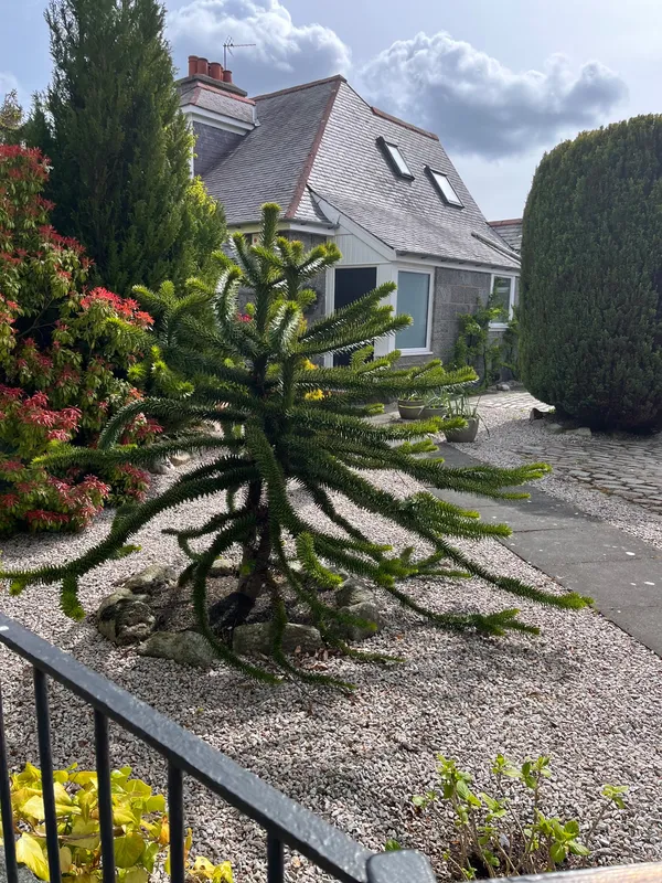 A bit bigger