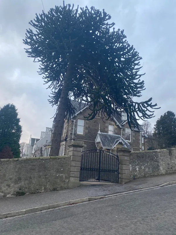 Stands out at the top of a steep street which 