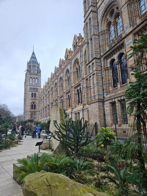 The London Natural History Museum specimen