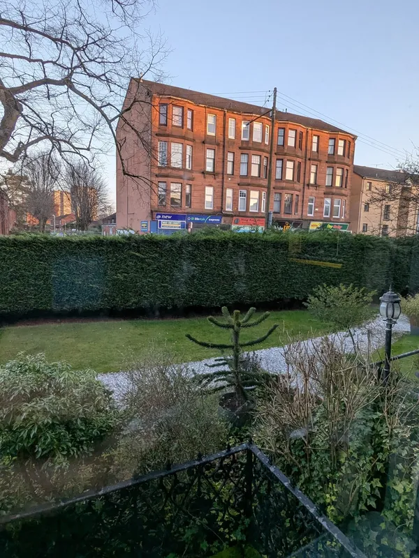 St George's Road baby monkey